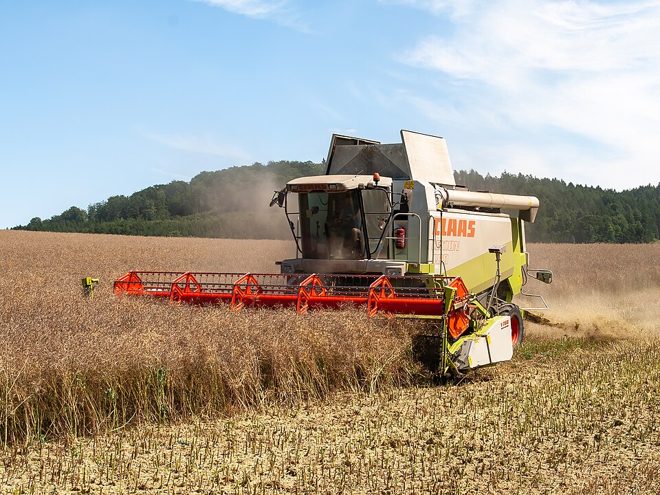 Grain Harvester