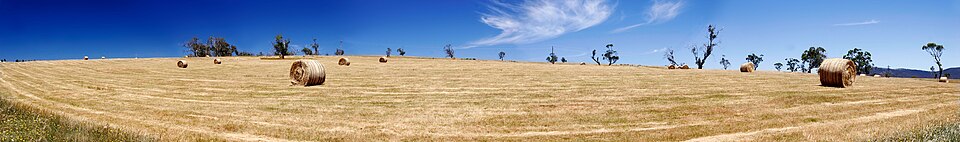 Hay Bales