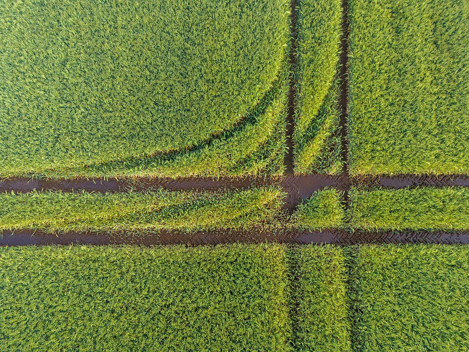 Agricultural Land