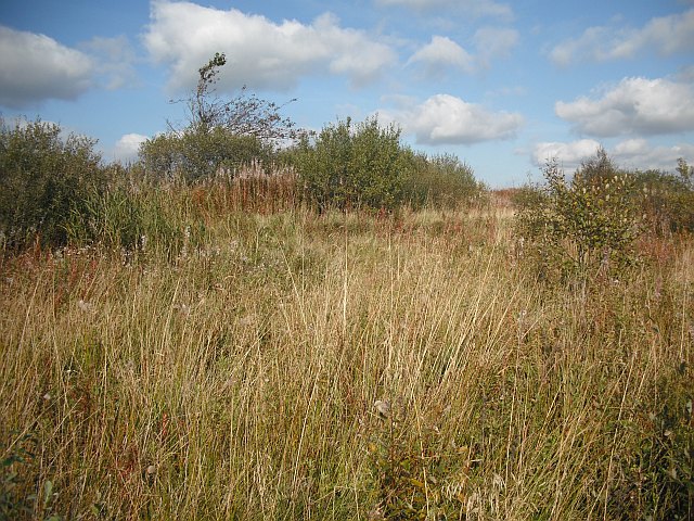 Industrial Plot